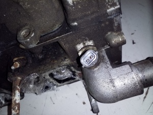 Subaru Outback (2009–2014) Zylinderkopf T20D - 5