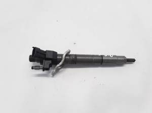   Fuel injector 