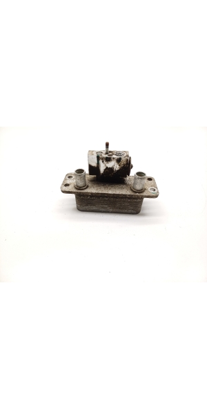 Other radiator - 1019540-00-C