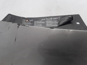 RENAULT Clio III (2005–2012) Esikaitseraud 8200402106 - 2