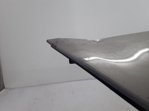 RENAULT Clio III (2005–2012) Esikaitseraud 8200402106 - 8