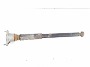 Rear shock absorber - A2423200931