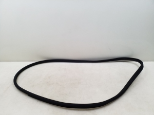 Rear side door seal on the door - A2046970351