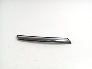 Front fender molding - 