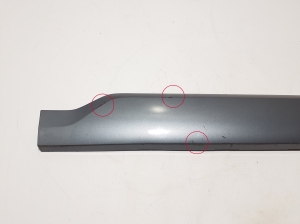  Rear side door strip 