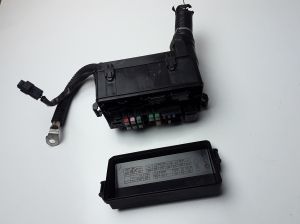 Fuse boxes - 243875FA0B