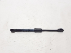   Hood prop/gas strut  - 7347403 