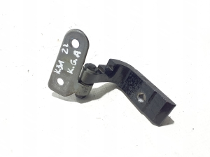   Rear side door lower hinge  - 7420097 