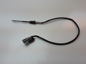 Abgastemperatursensor - 226401632R