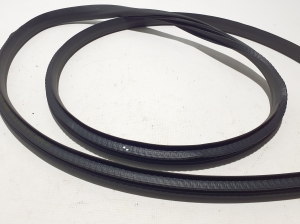 RENAULT Megane E-Tech CMF-EV (2022–2026) Front door rubber seal 808326510R - 3