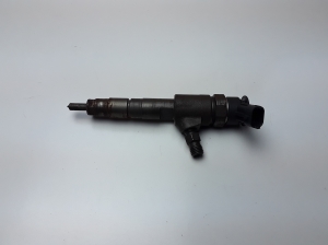   Fuel injector 