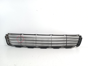  Front bumper lower grille 