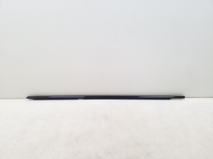 Rear side door outer window molding - 7463177
