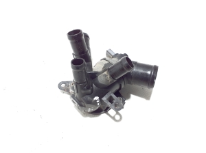 NISSAN Pulsar N17 (2013–2017) Termostaat 1106100Q1N - 2
