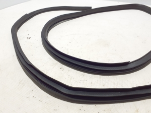NISSAN Pulsar N17 (2013–2017) Front door rubber seal 769223ZL0A - 2