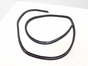   Front door rubber seal  - 769223ZL0A 