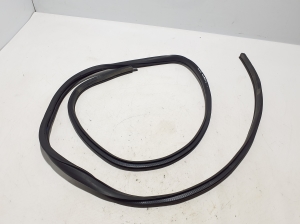   Rear side door seal on the door  - 769243ZL0A 