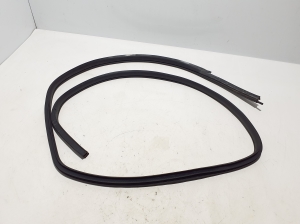   Rear side door seal on the door  - 769243ZL0A 