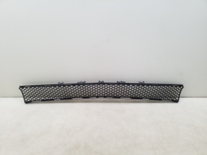   Front bumper lower grille 