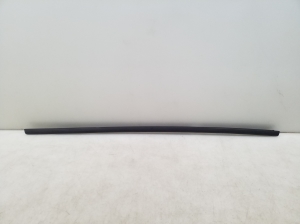 Rear side door outer window molding - 7349661