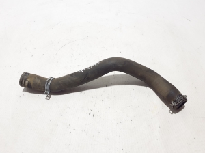   Radiator hose  - 215016584R 