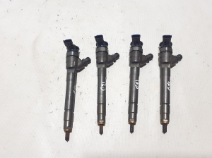   Fuel injector 