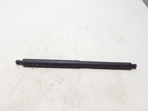   Trunk lid shock absorber 