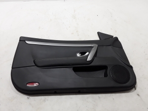 Front door panel - 809010003R