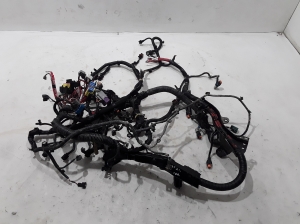 Engine wiring harness - 119057S0162