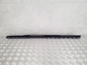 Rear side door outer window molding - A2057205133