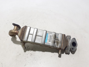   EGR valve cooler 