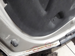 Volkswagen Amarok I (2010–2022) Motorhaube 2H0823033 - 5