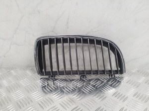Kühlergrill - 7120010