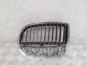 Kühlergrill - 7120009