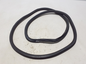 Volkswagen Passat B8 (2014–2023) Tagumise küljeukse tihend uksel 3G9867914L - 3