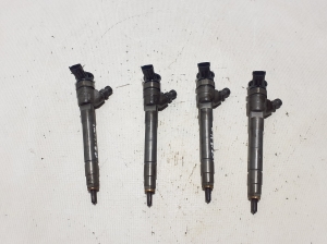   Fuel injector 