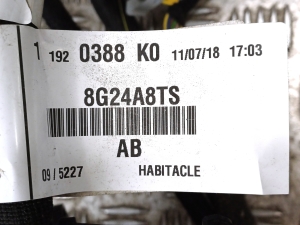 Citroen Jumpy (2016–2026) Kabelbaum 8H24A8TS - 2