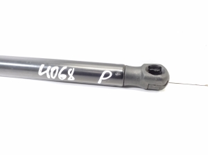 Mercedes Benz SLK-Class 172 (2011–2026) Hood prop/gas strut A1729800064 - 3