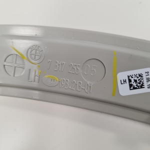 BMW X6 F16 (2014–2026) Blinker vorne 63147317255 - 2