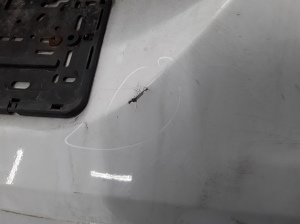 RENAULT Clio II (1998–2005) Rear bumper 7701209539 - 7
