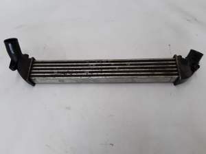 RENAULT Clio II (1998–2005) Intercooler 8200245599 - 3