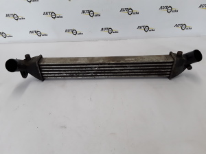   Intercooler  - 8200245599  