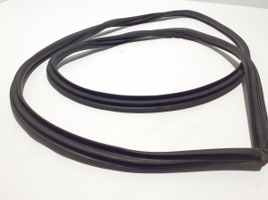 TOYOTA RAV 4 A5 (2019–2026) Front door rubber seal 6231142110 - 2