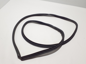 TOYOTA RAV 4 A5 (2019–2026) Front door rubber seal 6231142110 - 3