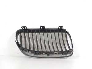 BMW 3 SERIES E92 (2006–2010) Kühlergrill 51137254971 - 2