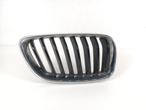 Front grille - 7295524