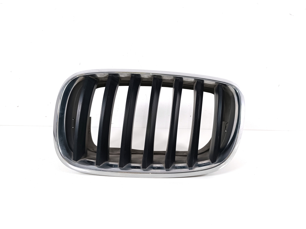 BMW X5 E70 (2006-2013) Front Upper Grill 7171395, 51137171395 23561930