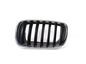Front grille - 7171395