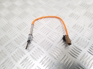 Exhaust gas sensor - 226405227R