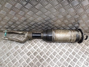 Jaguar l-Pace (2018–2026) Front shock absorber and its components 0171G695 - 2